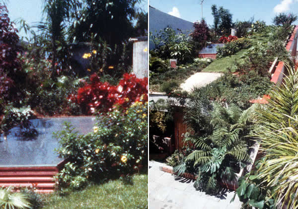 Scene 35. 
Left: Skylight & Flowers 
Right: Rooftop garden view 
Esq.: Claraboia e Flores 
Dir.: Vista do jardim da cobertura
	  
Click on the image to go forward
Cliquez sur l'image pour aller avant
Clicate su l'immagine per andare avanti 
Clique na imagem para prosseguir